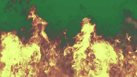 Fire flames isolated on green screen background Vidéo 336956599