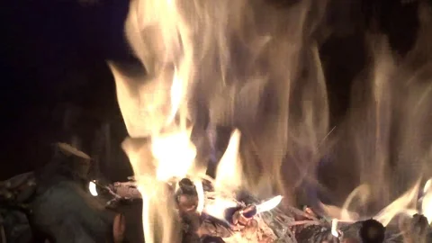 Fire flames in motion. Bonfire inside. Live flame Stock Footage 123539372