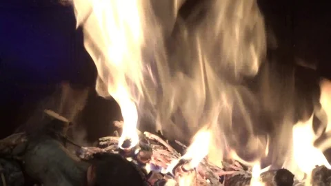 Fire flames in motion. Bonfire inside. Live flame Stock Footage 123539882
