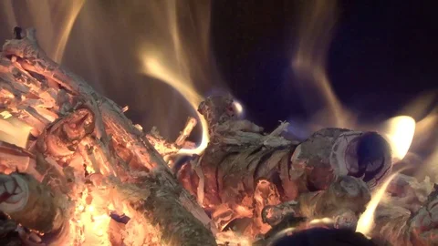 Fire flames in motion. Bonfire inside. Live flame Stock Footage 123539892