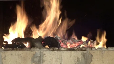 Fire flames in motion. Bonfire inside. Live flame Stock Footage 123540078