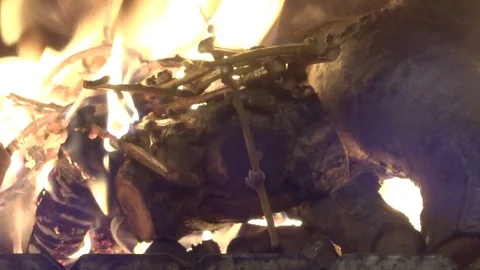 Fire flames in motion. Bonfire inside. Live flame Stock Footage 123994253