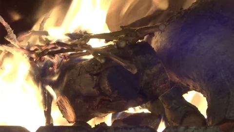 Fire flames in motion. Bonfire inside. Live flame Stock Footage 123994531