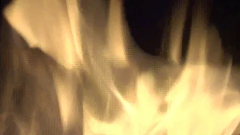 Fire flames in motion. Bonfire inside. Live flame Stock Footage 124956102