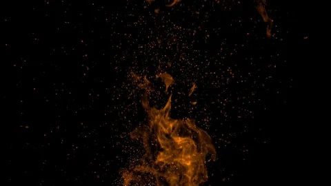 Fire flames moving vertically against an isolated black background Vidéo 122191464
