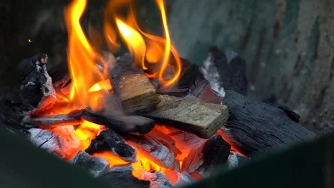 Fire flames of night fire on outdoors. people puts firewood in the fire for c Video stock 97337369