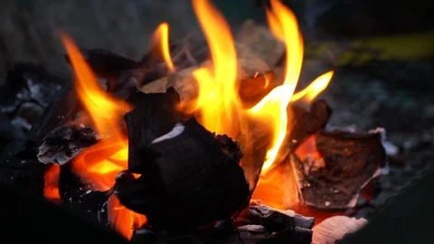 Fire flames of night fire on outdoors. people puts firewood in the fire for c Stock Footage 97337571