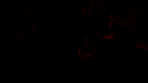 Fire flames opener Stock Footage 83736993