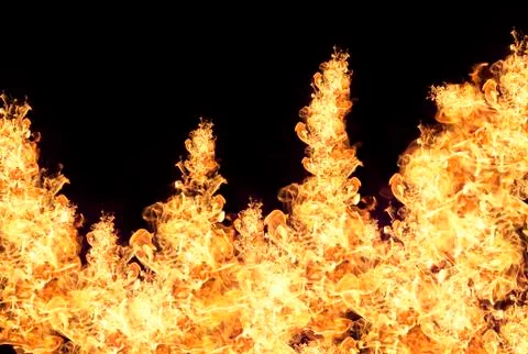 Fire flames Stock Photos