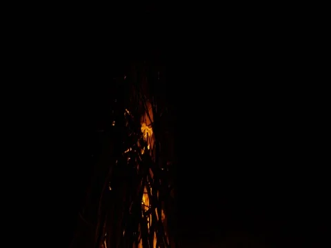Fire flames rising up from the bonfire at night Stock Footage 80998523