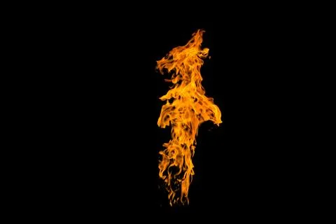 Fire flames in the shape of an animal's muzzle. Fire flames on black backgrou Stock Photos