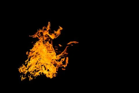 Fire flames in the shape of an animal's muzzle. Fire flames on black backgrou Stock Photos