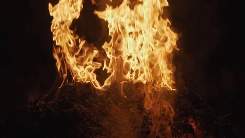 Fire flames in slow motion. Stock Footage 123483803