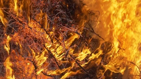 Fire flames in slow motion. Video stock 126262661