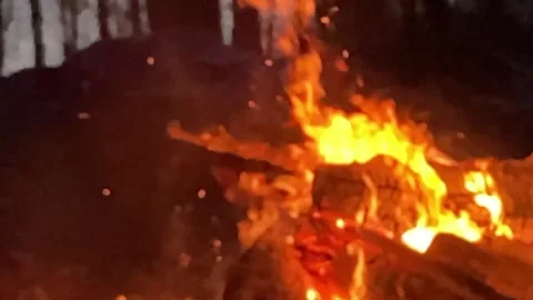 Fire flames slow motion Stock Footage 263843430