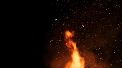 Fire flames with sparks on a black background Stock Footage 76302794