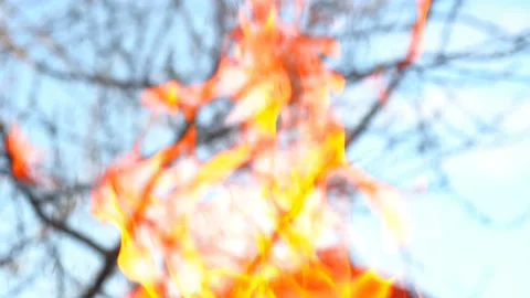 Fire, flames, sparks, flying ash in the foreground. The threat of a large fire Stock Footage 130876580