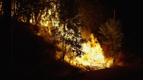Fire flames spreading through the forest on a windy night in Long Thanh Lakes Vídeo Stock 278488804