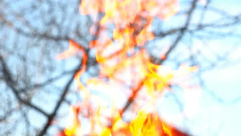 Fire, flames,  The threat of a large fire to humans Stock Footage 149295589