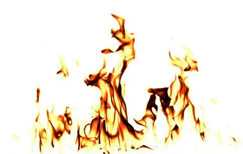Fire flames on a white background Stock Illustration