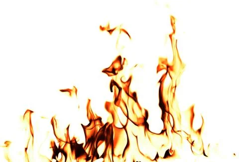 Fire flames on a white background Stock Illustration