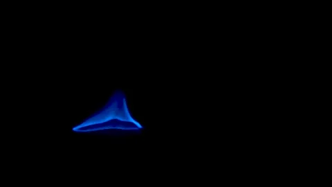 Fire Flames From Wood Ember for Grill Bbq Firewood Stock Footage 164984066