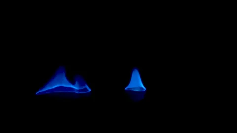Fire Flames From Wood Ember for Grill Bbq Firewood Stock Footage 164984130