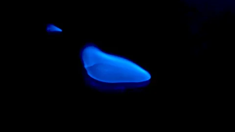 Fire Flames From Wood Ember for Grill Bbq Firewood Stock Footage 164985153