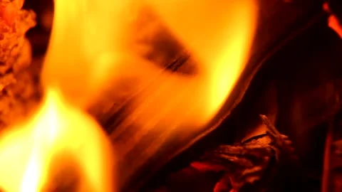 Fire Flames From Wood Ember for Grill Bbq Firewood Stock Footage 164986371