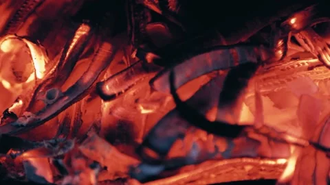 Fire Flames From Wood Ember for Grill Bbq Firewood Stock Footage 164987645