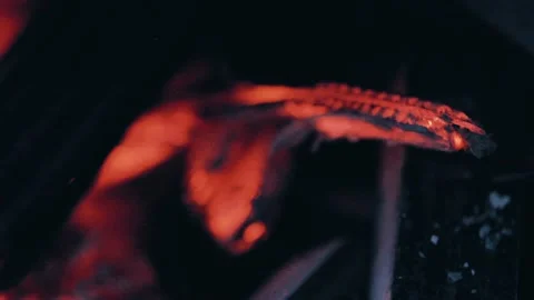 Fire Flames From Wood Ember for Grill Bbq Firewood Stock Footage 164988905