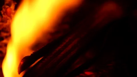 Fire Flames From Wood Ember for Grill Bbq Firewood Stock Footage 164989283