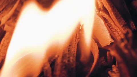 Fire Flames From Wood Ember for Grill Bbq Firewood Stock Footage 164989508
