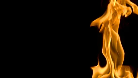 Fire flameson a black background. slow motion Stock Footage 82733254