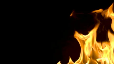 Fire flameson a black background. slow motion Stock Footage 82733372