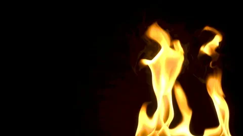 Fire flameson a black background. slow motion Stock Footage 82733484