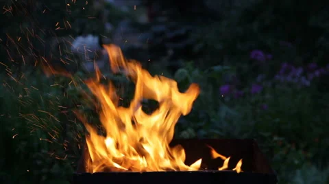 Fire flaming in the  brazier in the evening Stock Footage 66408015