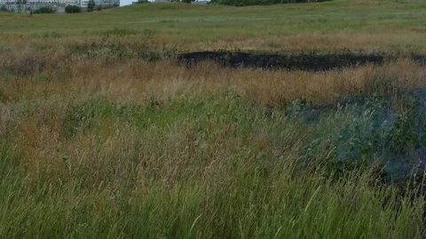 Fire flares up on the field Stock-Footage 82803222