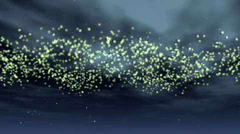 Fire flies background on night sky Stock Footage 923635