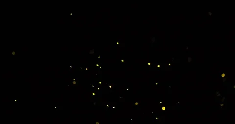 Fire flies Video stock 101492854