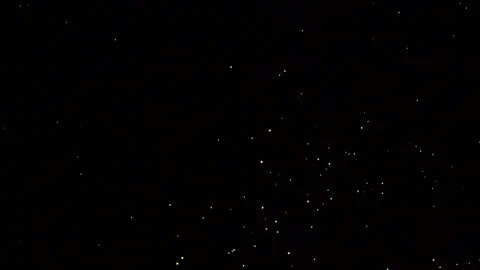 Fire flies Stock Footage 101493450