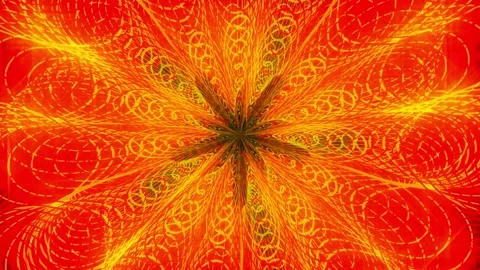 Fire flower Stock Footage 221488067