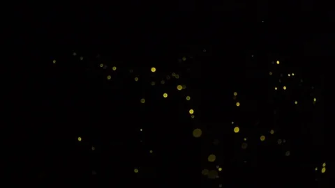 Fire fly Stock Footage 101493444