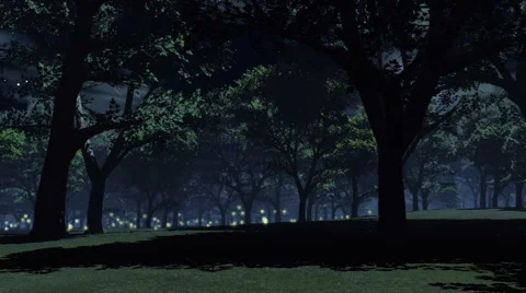 Fire flys background on trees Stock Footage 923519