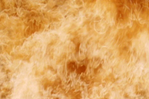 Fire Stock Footage 496245