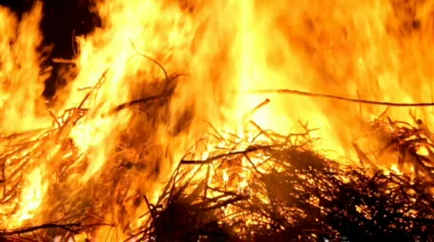 Fire Stock Footage 702239