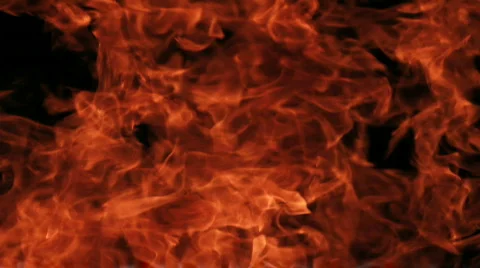 FIRE 스톡 동영상 737621