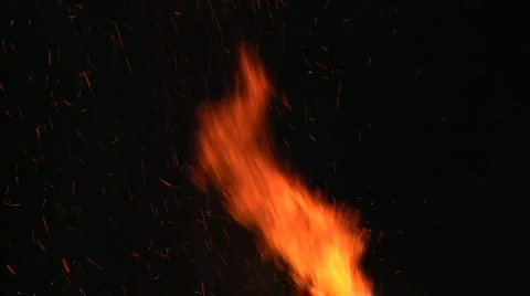 Fire Video stock 836647