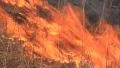 Fire HD Footage
