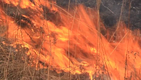 Fire Stock Footage